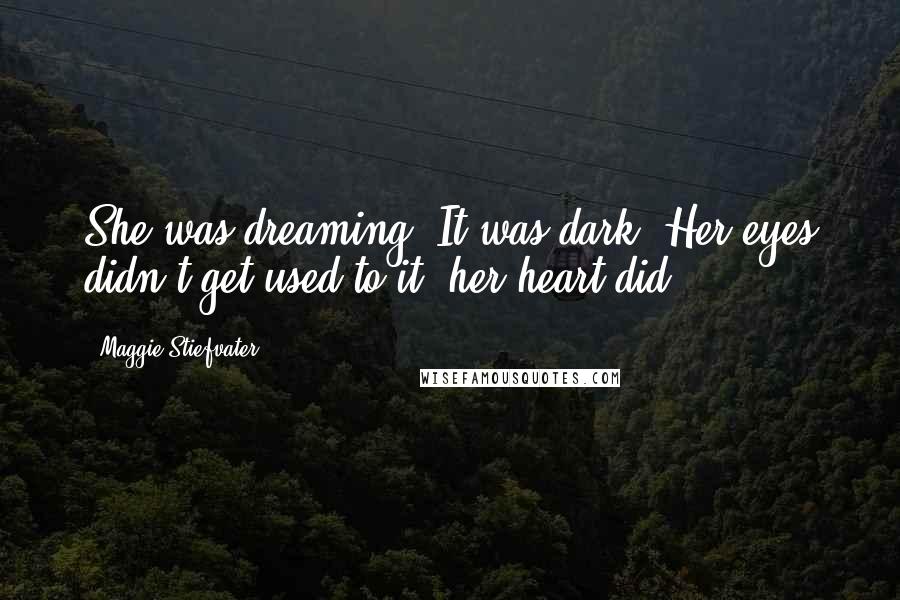 Maggie Stiefvater Quotes: She was dreaming. It was dark. Her eyes didn't get used to it; her heart did.