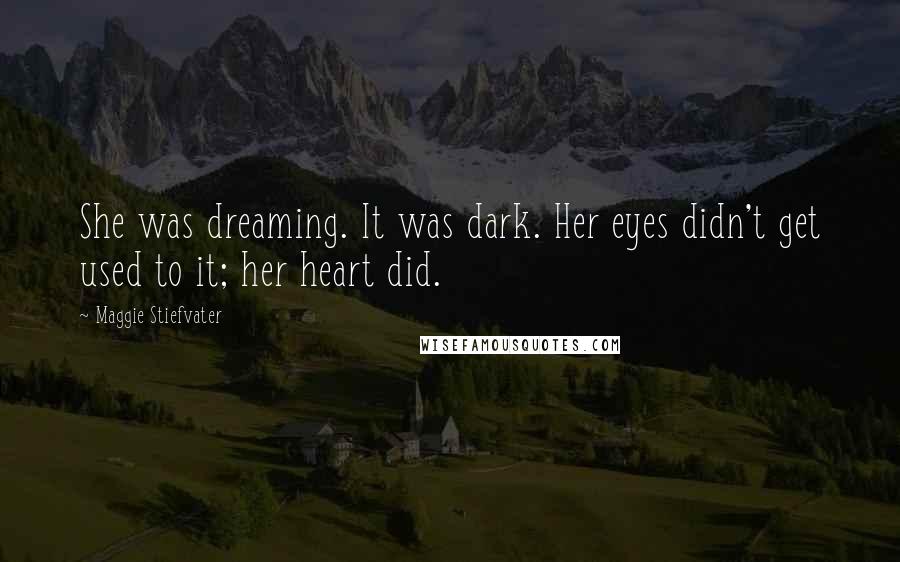Maggie Stiefvater Quotes: She was dreaming. It was dark. Her eyes didn't get used to it; her heart did.