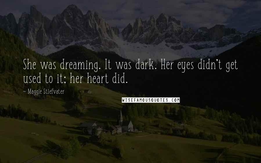 Maggie Stiefvater Quotes: She was dreaming. It was dark. Her eyes didn't get used to it; her heart did.