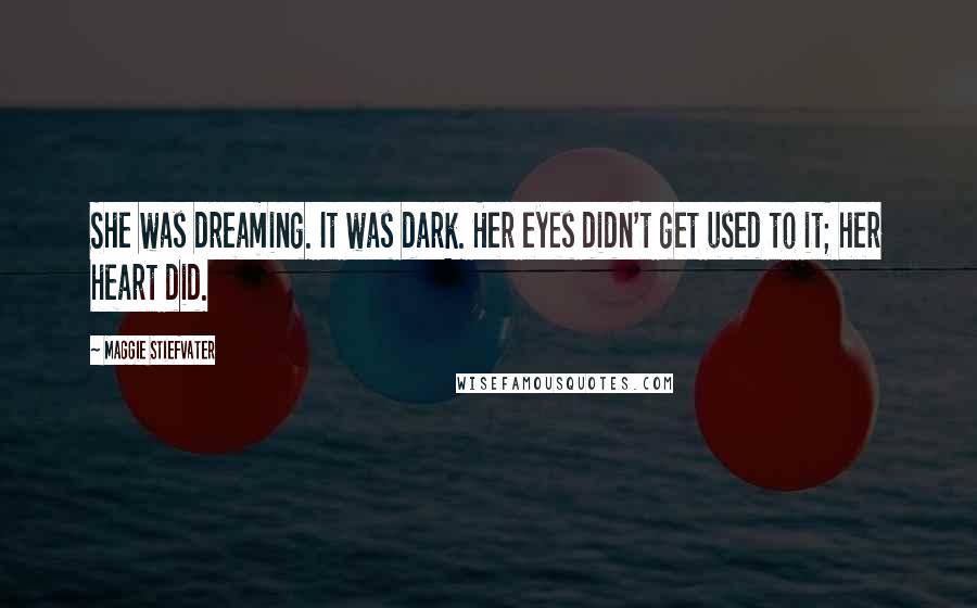 Maggie Stiefvater Quotes: She was dreaming. It was dark. Her eyes didn't get used to it; her heart did.