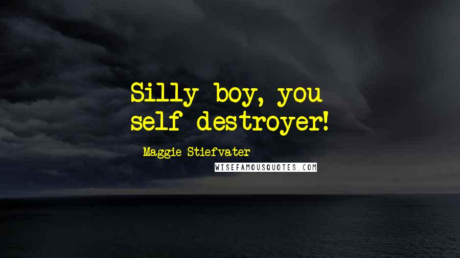 Maggie Stiefvater Quotes: Silly boy, you self-destroyer!