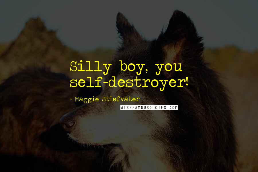 Maggie Stiefvater Quotes: Silly boy, you self-destroyer!