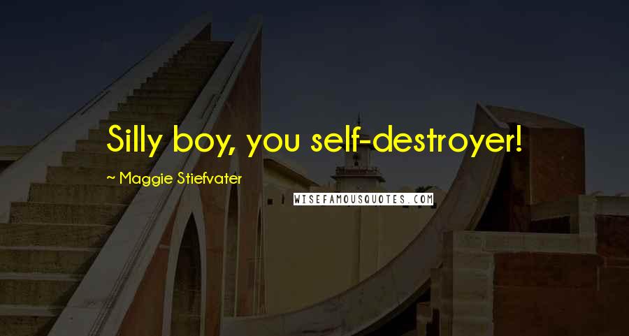 Maggie Stiefvater Quotes: Silly boy, you self-destroyer!