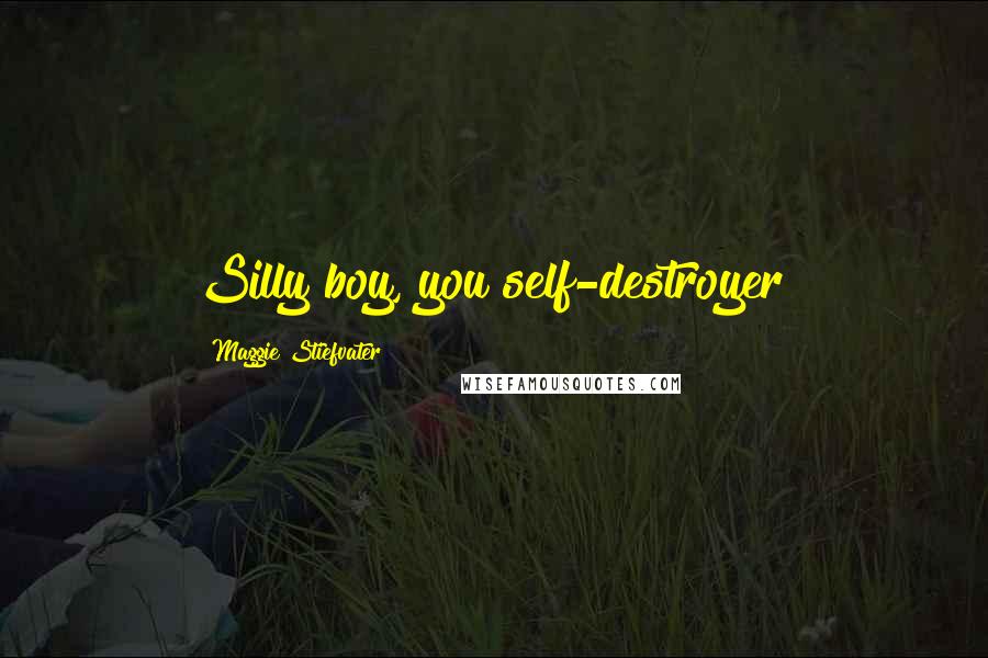 Maggie Stiefvater Quotes: Silly boy, you self-destroyer!