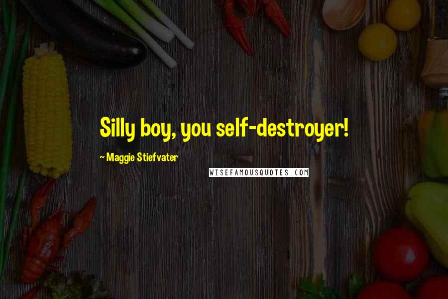 Maggie Stiefvater Quotes: Silly boy, you self-destroyer!