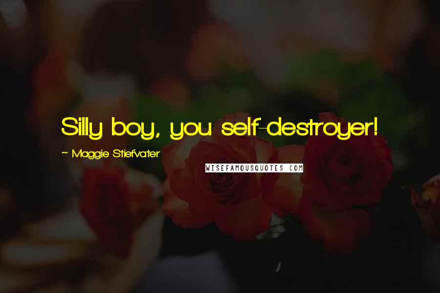 Maggie Stiefvater Quotes: Silly boy, you self-destroyer!