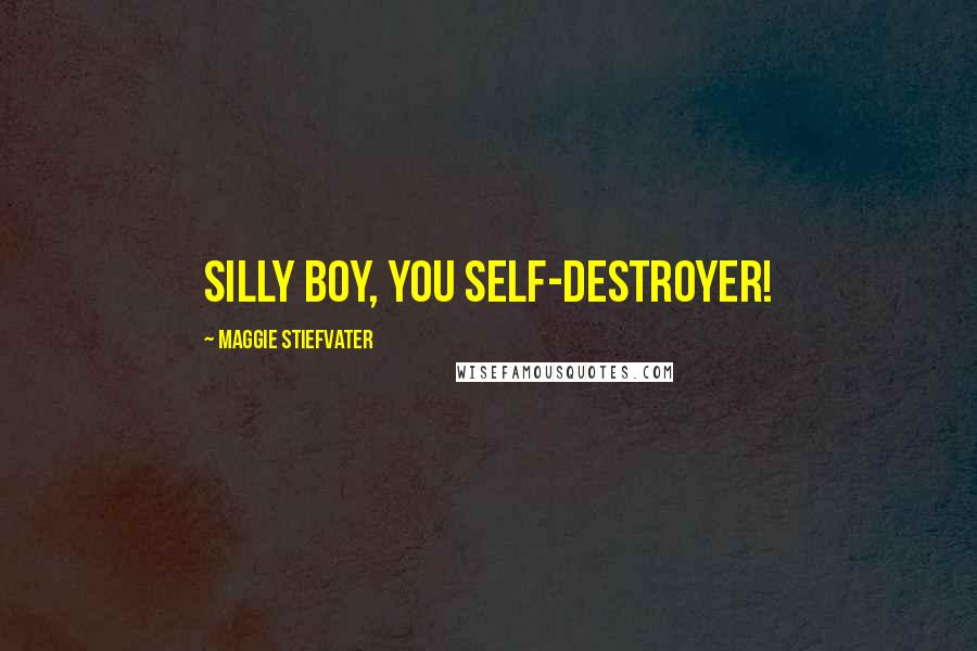 Maggie Stiefvater Quotes: Silly boy, you self-destroyer!