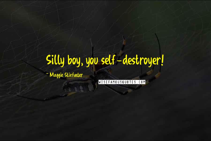 Maggie Stiefvater Quotes: Silly boy, you self-destroyer!