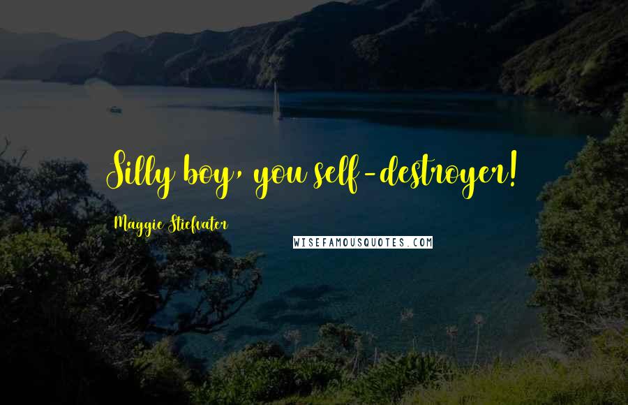 Maggie Stiefvater Quotes: Silly boy, you self-destroyer!