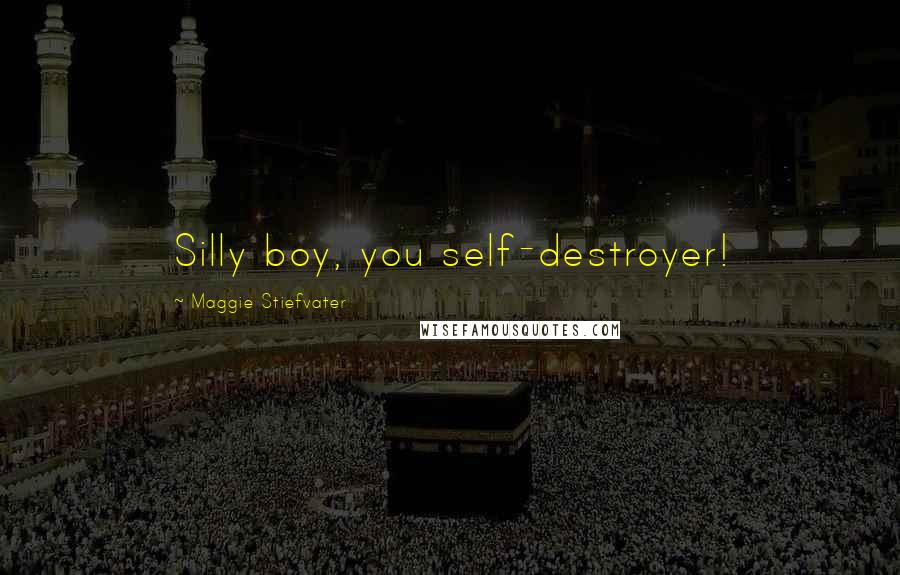 Maggie Stiefvater Quotes: Silly boy, you self-destroyer!