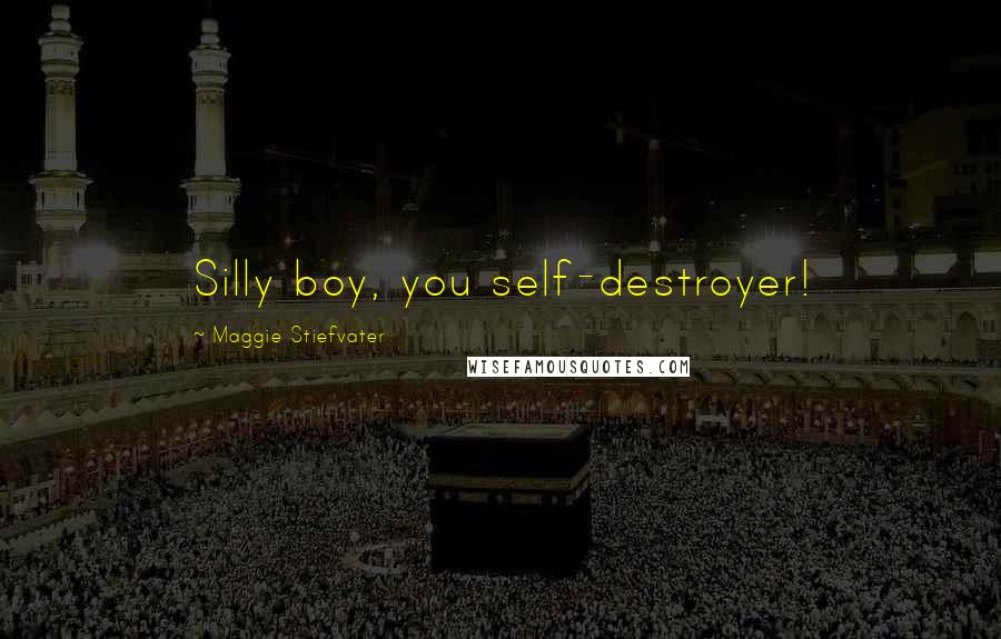 Maggie Stiefvater Quotes: Silly boy, you self-destroyer!