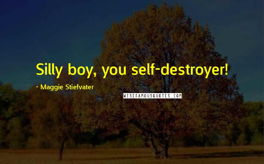 Maggie Stiefvater Quotes: Silly boy, you self-destroyer!