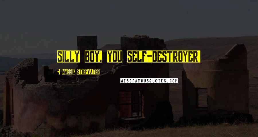 Maggie Stiefvater Quotes: Silly boy, you self-destroyer!