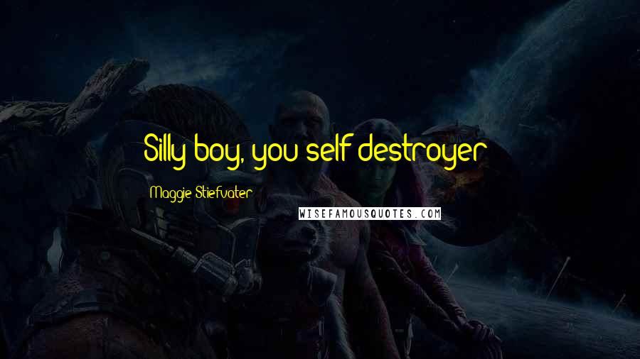 Maggie Stiefvater Quotes: Silly boy, you self-destroyer!