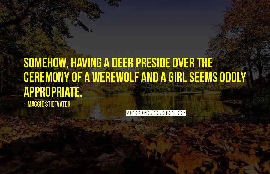 Maggie Stiefvater Quotes: Somehow, having a deer preside over the ceremony of a werewolf and a girl seems oddly appropriate.