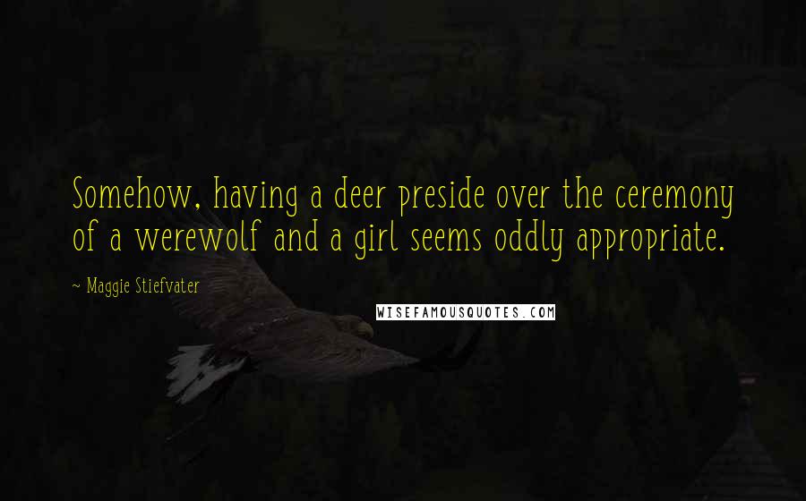 Maggie Stiefvater Quotes: Somehow, having a deer preside over the ceremony of a werewolf and a girl seems oddly appropriate.