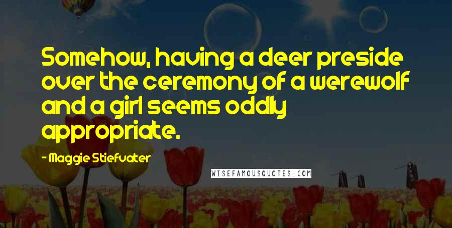 Maggie Stiefvater Quotes: Somehow, having a deer preside over the ceremony of a werewolf and a girl seems oddly appropriate.