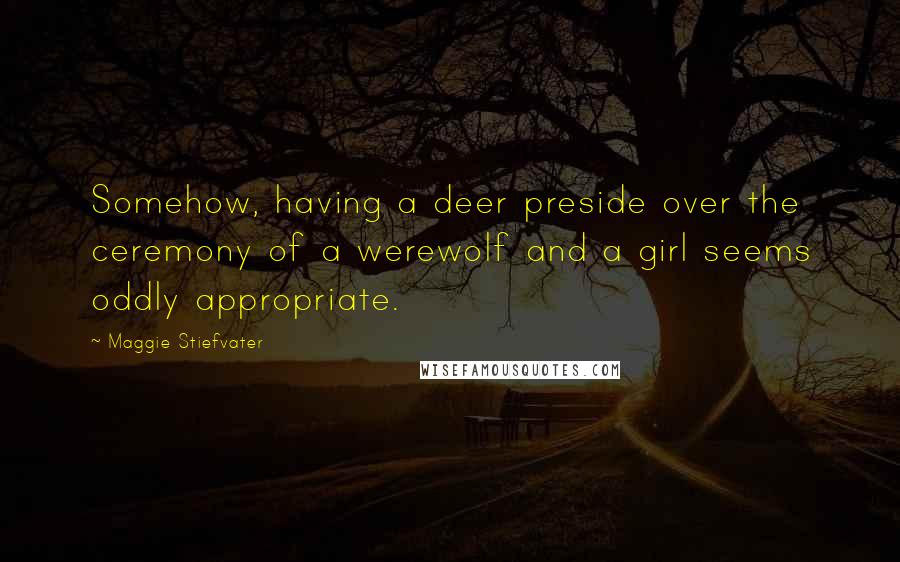 Maggie Stiefvater Quotes: Somehow, having a deer preside over the ceremony of a werewolf and a girl seems oddly appropriate.