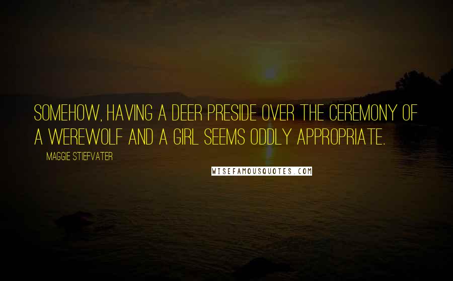 Maggie Stiefvater Quotes: Somehow, having a deer preside over the ceremony of a werewolf and a girl seems oddly appropriate.