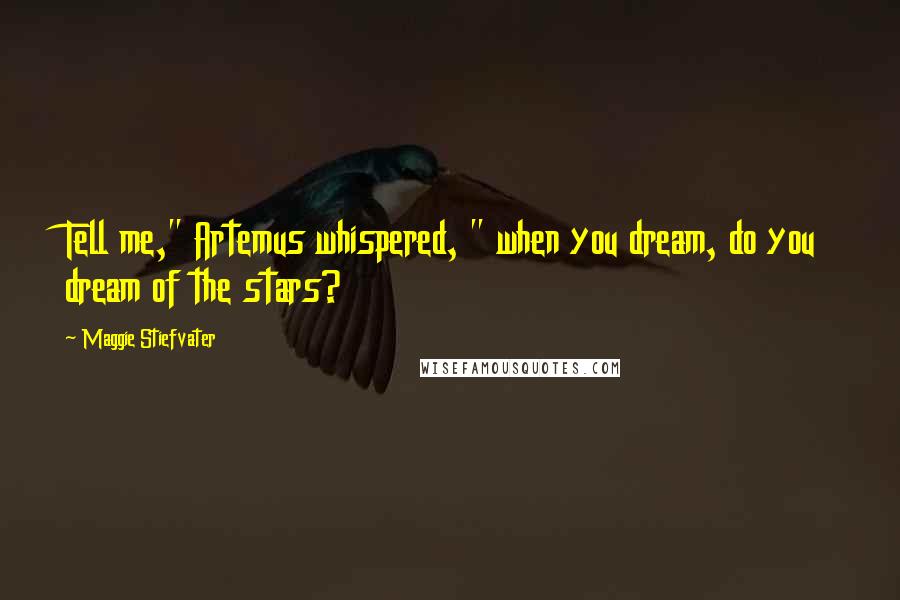 Maggie Stiefvater Quotes: Tell me," Artemus whispered, " when you dream, do you dream of the stars?