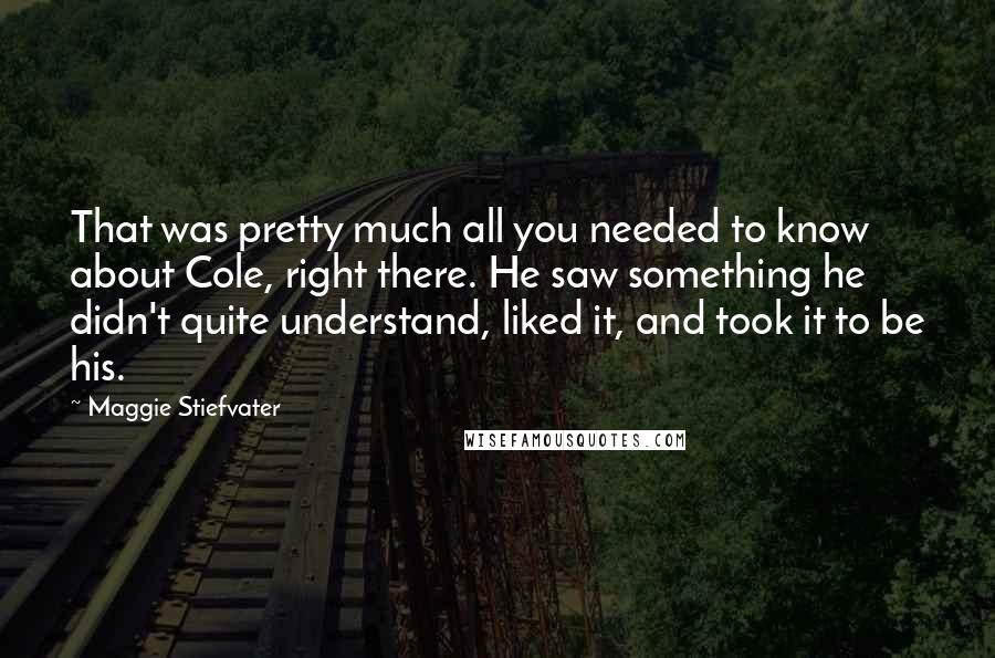 Maggie Stiefvater Quotes: That was pretty much all you needed to know about Cole, right there. He saw something he didn't quite understand, liked it, and took it to be his.