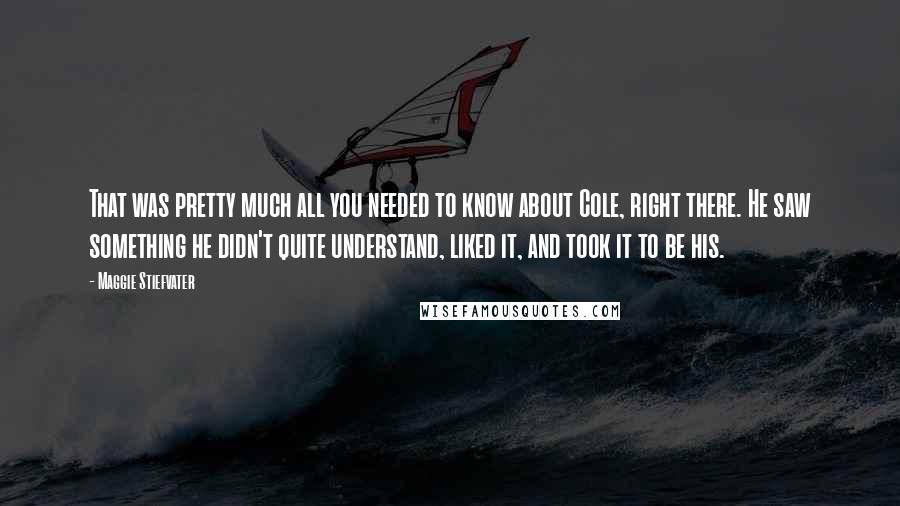 Maggie Stiefvater Quotes: That was pretty much all you needed to know about Cole, right there. He saw something he didn't quite understand, liked it, and took it to be his.