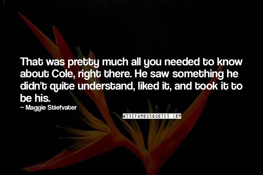 Maggie Stiefvater Quotes: That was pretty much all you needed to know about Cole, right there. He saw something he didn't quite understand, liked it, and took it to be his.