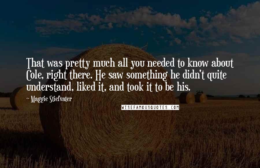 Maggie Stiefvater Quotes: That was pretty much all you needed to know about Cole, right there. He saw something he didn't quite understand, liked it, and took it to be his.