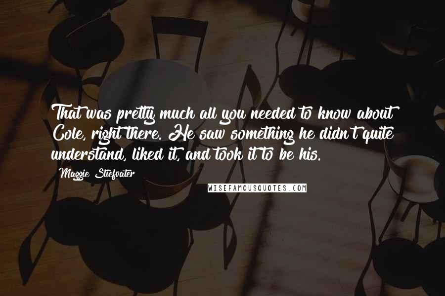 Maggie Stiefvater Quotes: That was pretty much all you needed to know about Cole, right there. He saw something he didn't quite understand, liked it, and took it to be his.