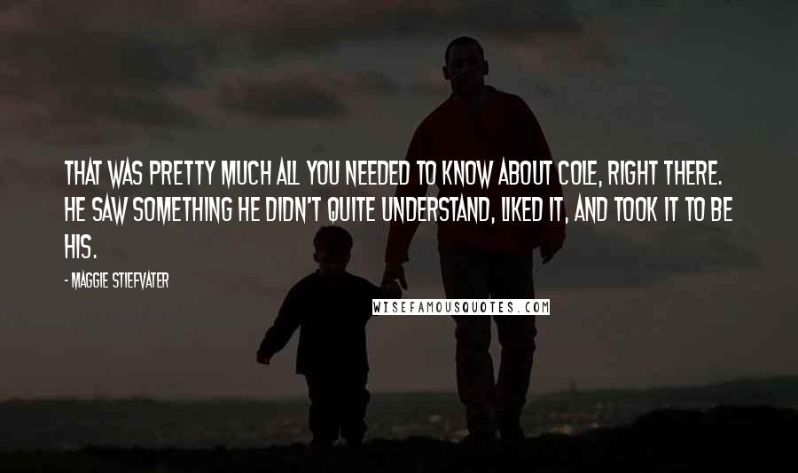 Maggie Stiefvater Quotes: That was pretty much all you needed to know about Cole, right there. He saw something he didn't quite understand, liked it, and took it to be his.