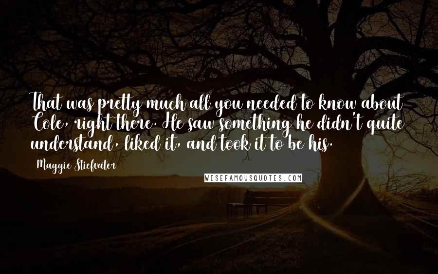 Maggie Stiefvater Quotes: That was pretty much all you needed to know about Cole, right there. He saw something he didn't quite understand, liked it, and took it to be his.