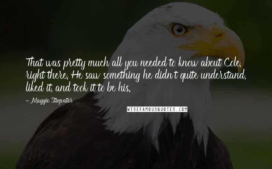 Maggie Stiefvater Quotes: That was pretty much all you needed to know about Cole, right there. He saw something he didn't quite understand, liked it, and took it to be his.