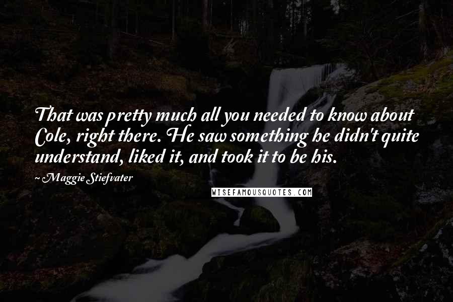 Maggie Stiefvater Quotes: That was pretty much all you needed to know about Cole, right there. He saw something he didn't quite understand, liked it, and took it to be his.