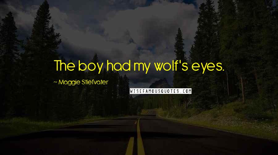 Maggie Stiefvater Quotes: The boy had my wolf's eyes.