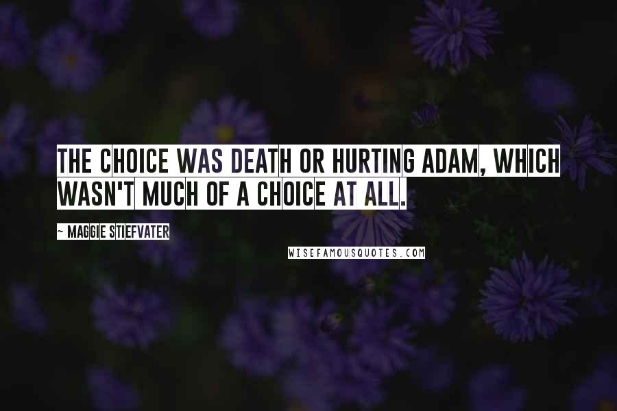Maggie Stiefvater Quotes: The choice was death or hurting Adam, which wasn't much of a choice at all.