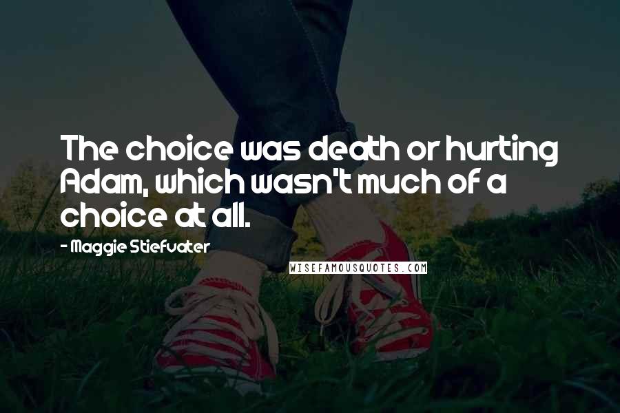 Maggie Stiefvater Quotes: The choice was death or hurting Adam, which wasn't much of a choice at all.