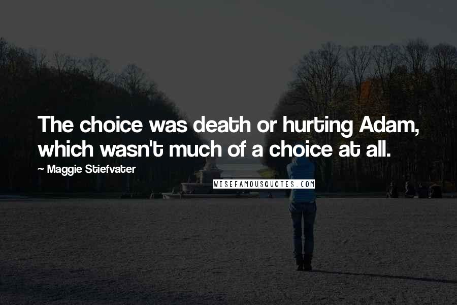 Maggie Stiefvater Quotes: The choice was death or hurting Adam, which wasn't much of a choice at all.