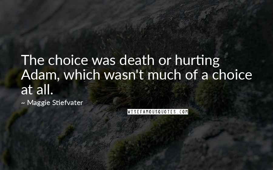 Maggie Stiefvater Quotes: The choice was death or hurting Adam, which wasn't much of a choice at all.
