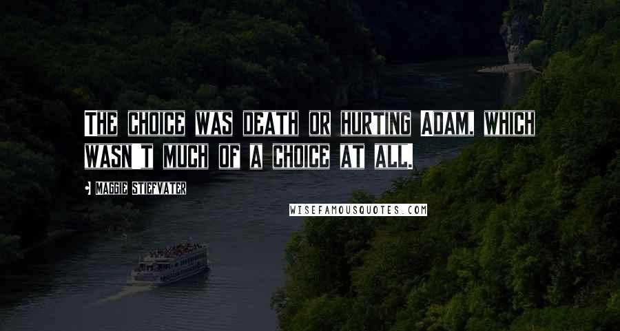 Maggie Stiefvater Quotes: The choice was death or hurting Adam, which wasn't much of a choice at all.