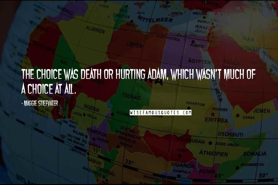 Maggie Stiefvater Quotes: The choice was death or hurting Adam, which wasn't much of a choice at all.