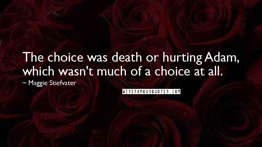 Maggie Stiefvater Quotes: The choice was death or hurting Adam, which wasn't much of a choice at all.