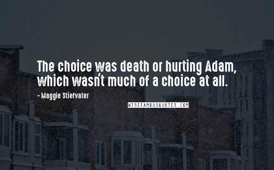 Maggie Stiefvater Quotes: The choice was death or hurting Adam, which wasn't much of a choice at all.