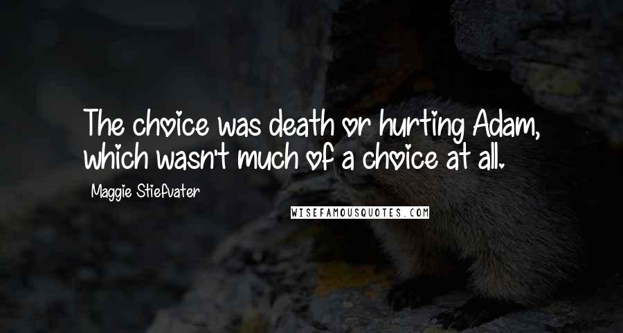 Maggie Stiefvater Quotes: The choice was death or hurting Adam, which wasn't much of a choice at all.
