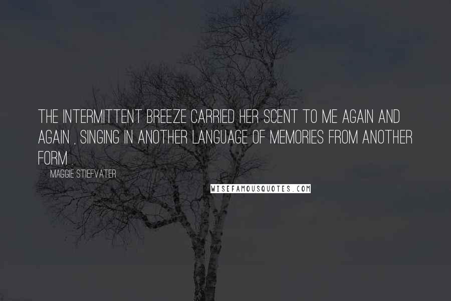 Maggie Stiefvater Quotes: The intermittent breeze carried her scent to me again and again , singing in another language of memories from another form .