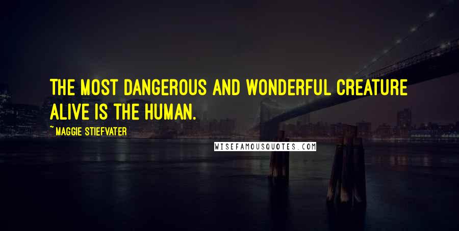 Maggie Stiefvater Quotes: The most dangerous and wonderful creature alive is the human.