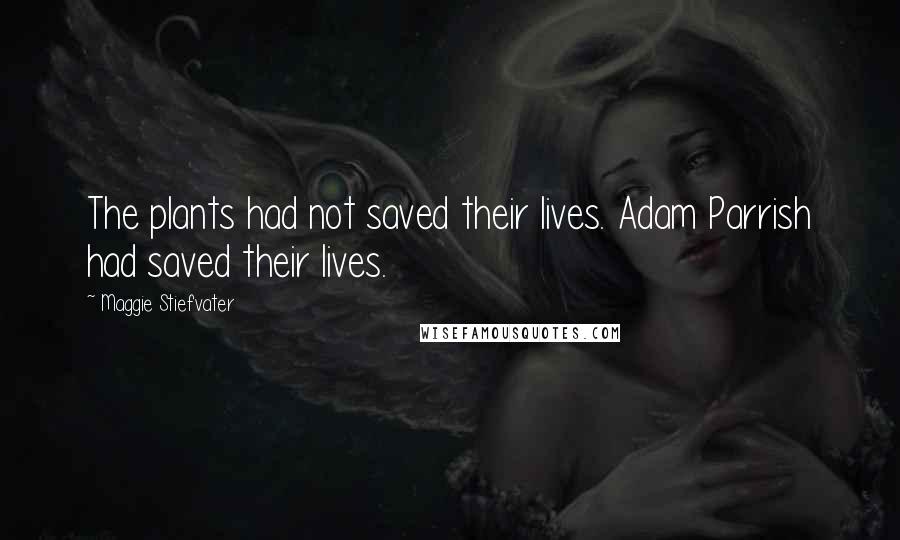 Maggie Stiefvater Quotes: The plants had not saved their lives. Adam Parrish had saved their lives.