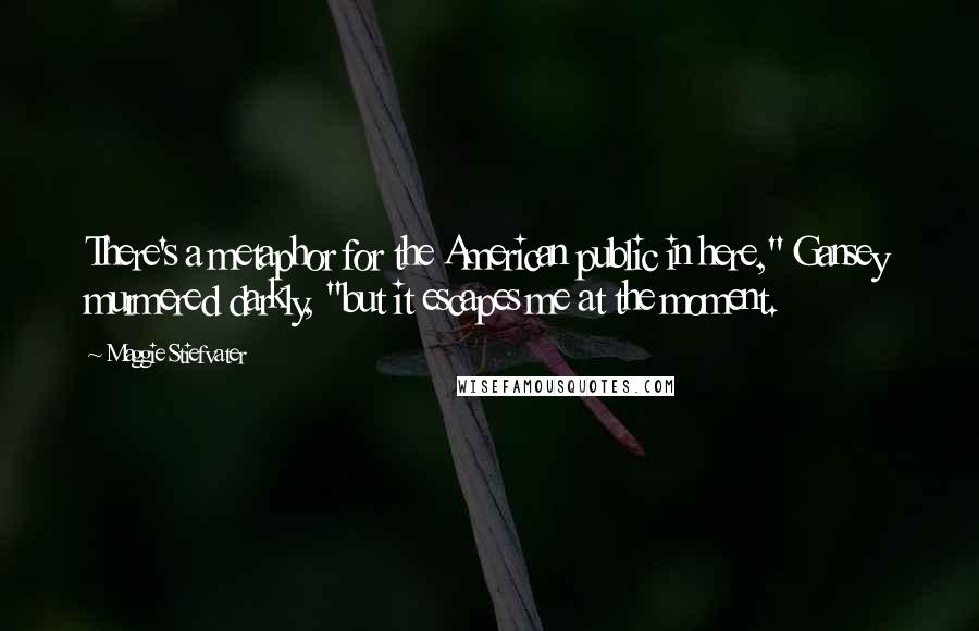 Maggie Stiefvater Quotes: There's a metaphor for the American public in here," Gansey murmered darkly, "but it escapes me at the moment.