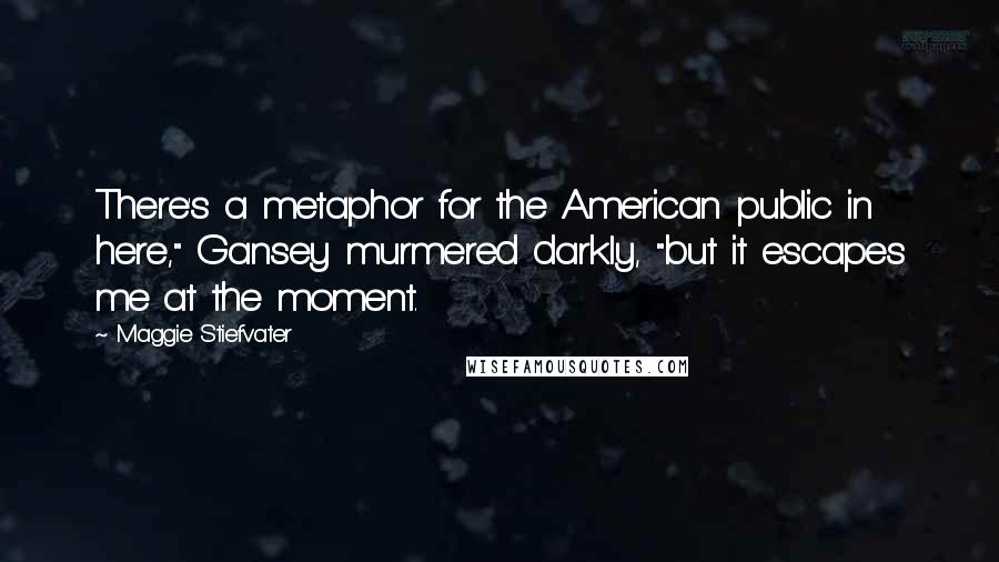 Maggie Stiefvater Quotes: There's a metaphor for the American public in here," Gansey murmered darkly, "but it escapes me at the moment.