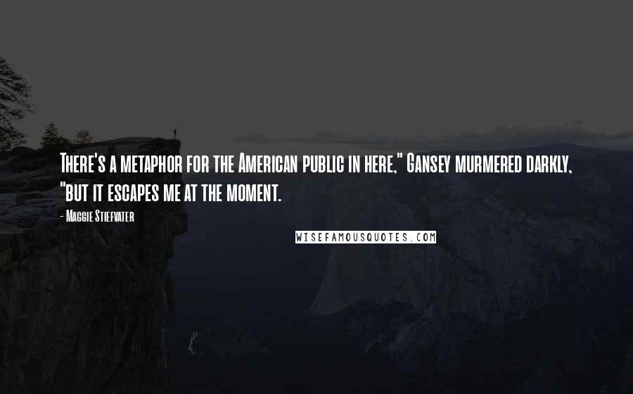 Maggie Stiefvater Quotes: There's a metaphor for the American public in here," Gansey murmered darkly, "but it escapes me at the moment.
