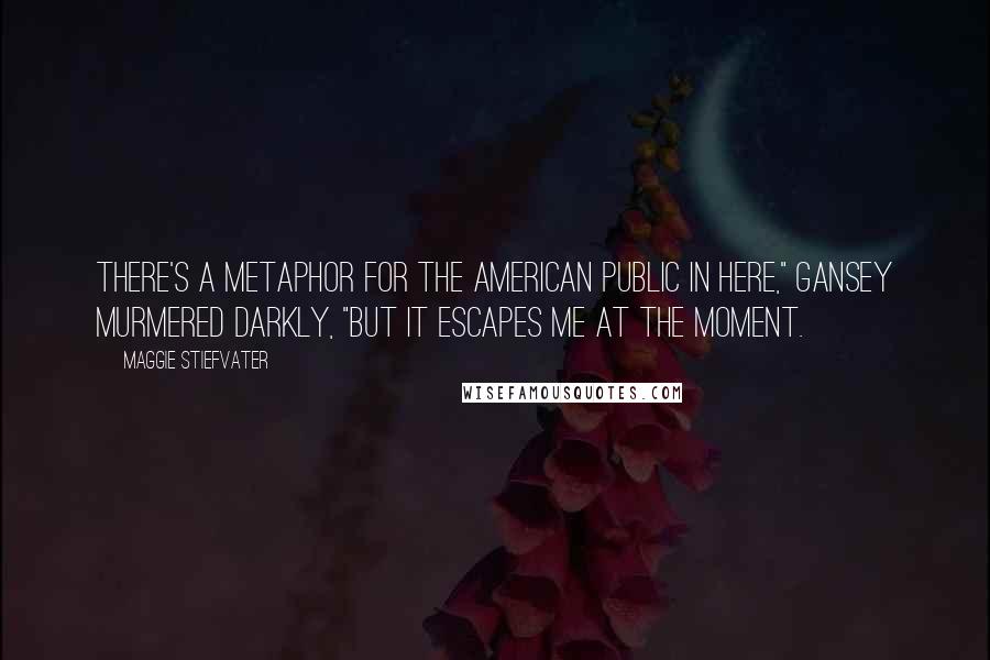 Maggie Stiefvater Quotes: There's a metaphor for the American public in here," Gansey murmered darkly, "but it escapes me at the moment.